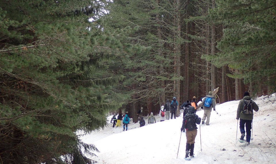 Snow Walk in Vitosha