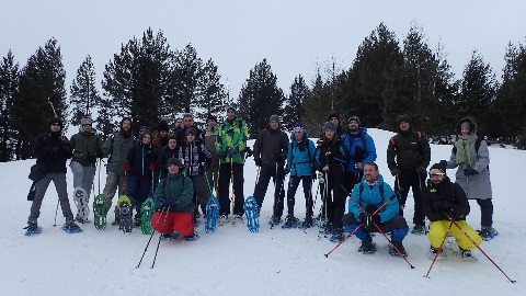 Snow Walk in Vitosha